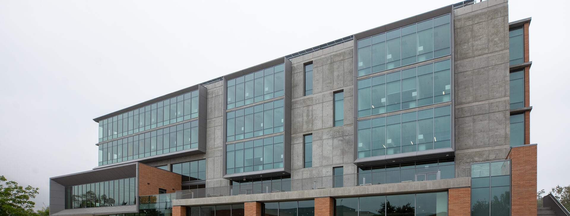 homepage Planning, Design & Construction